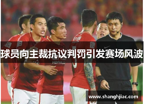 球员向主裁抗议判罚引发赛场风波