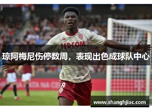 琼阿梅尼伤停数周,表现出色成球队中心 琼阿梅尼伤停数周,表现出色成球队中心