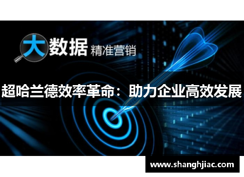 超哈兰德效率革命：助力企业高效发展